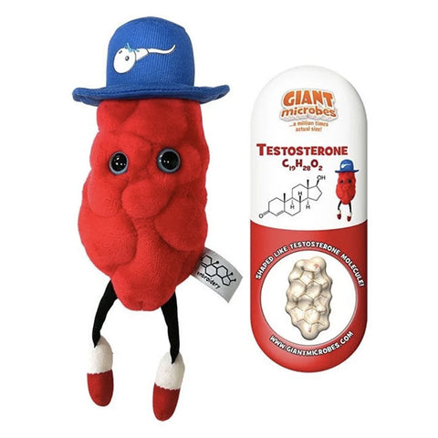 Giant Microbes Testosterone Molecule