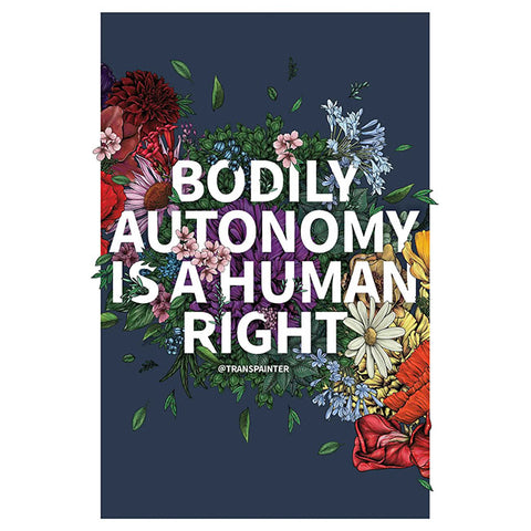 Bodily Autonomy is a Human Right Poster